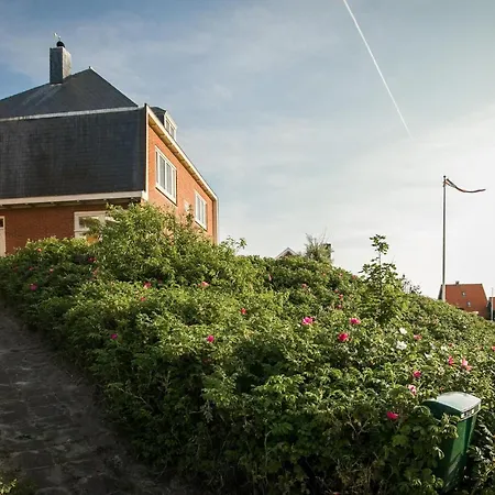 T Sterntje *